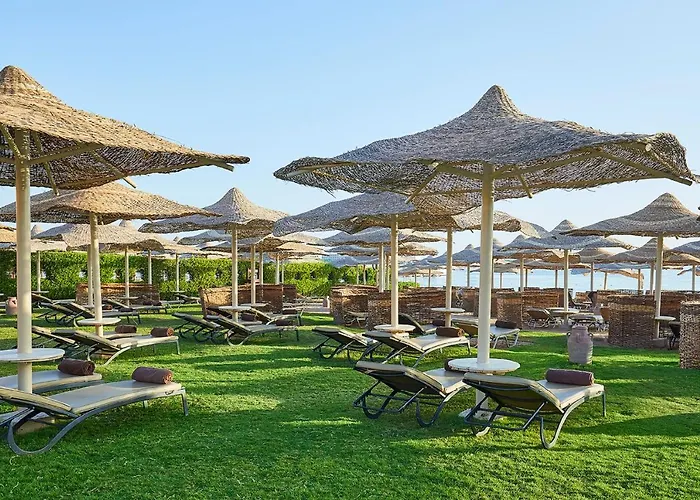 Üdülőközpont Jaz Makadi Blue - Tui Blue Makadi - Adults Friendly 16 Years Gurdaka
